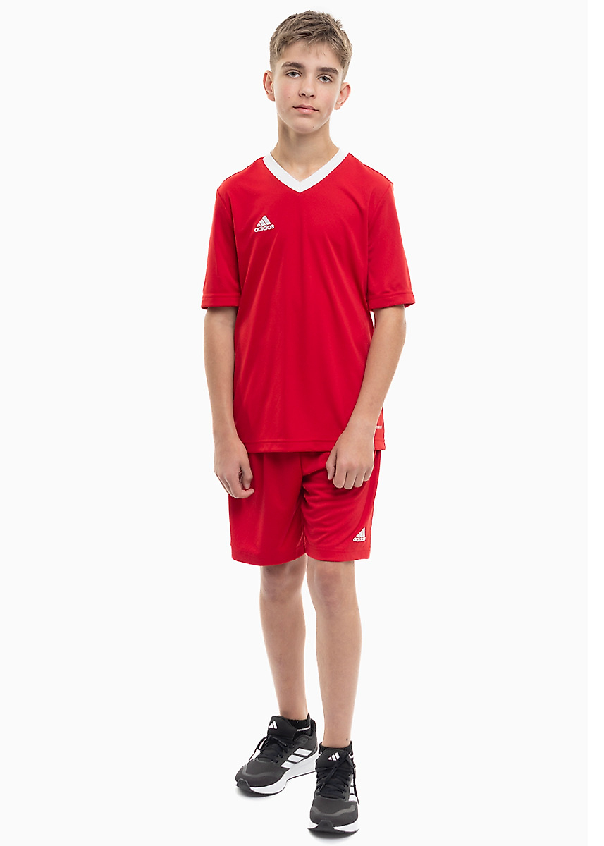 adidas Kinder Sport-Set T-shirt Kurze Hose Entrada 22 Jersey H57496/H57501