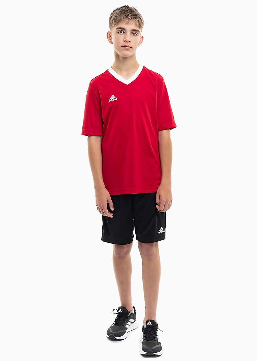 adidas Kinder Sport-Set T-shirt Kurze Hose Entrada 22 Jersey H57496/H57502
