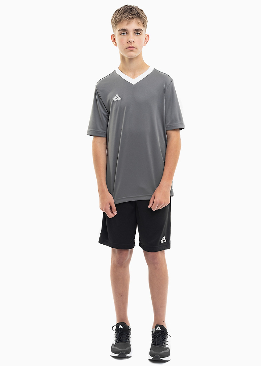 adidas Kinder Sport-Set T-shirt Kurze Hose Entrada 22 Jersey H57499/H57502