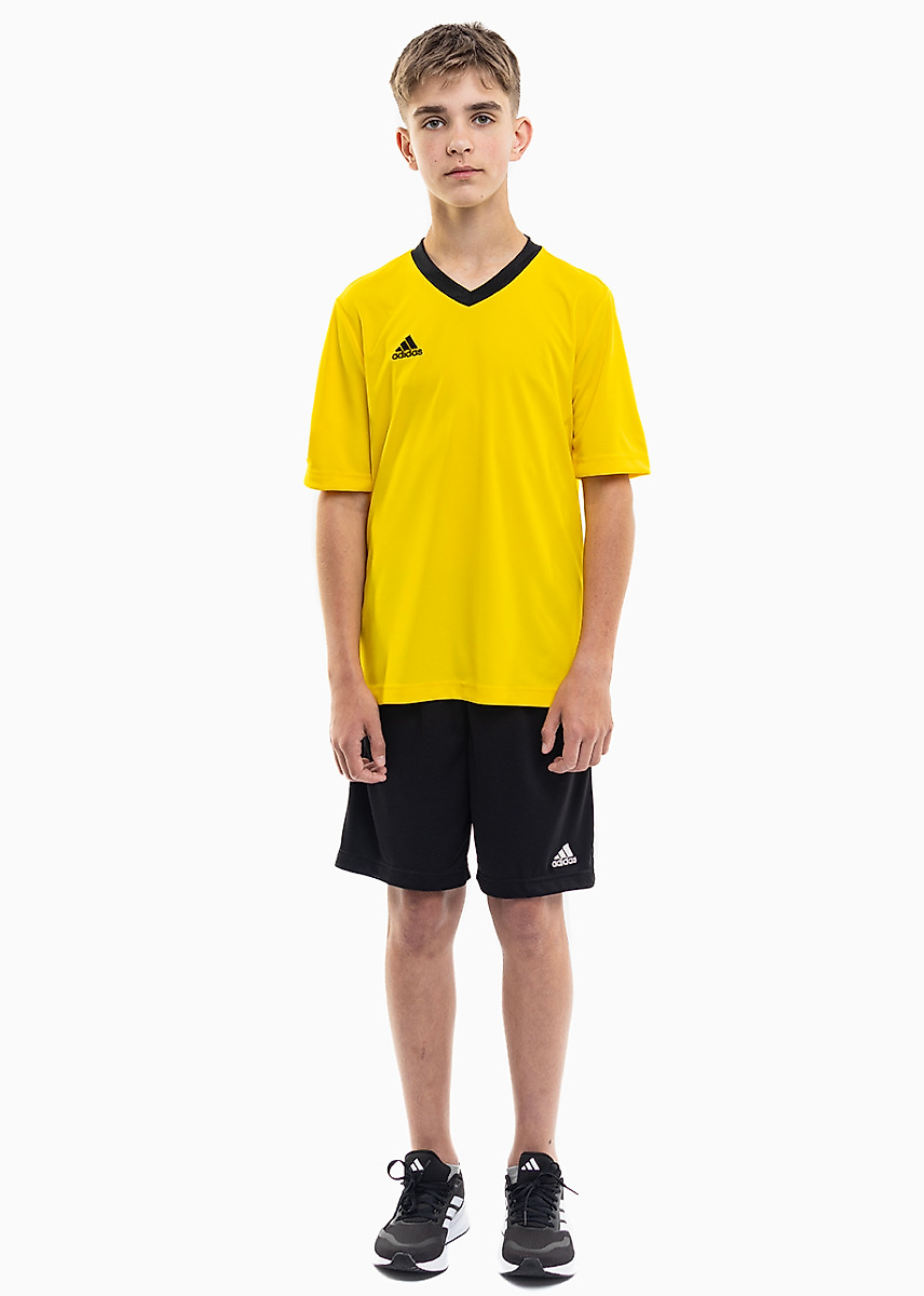 adidas Kinder Sport-Set T-shirt Kurze Hose Entrada 22 Jersey HI2127/H57502