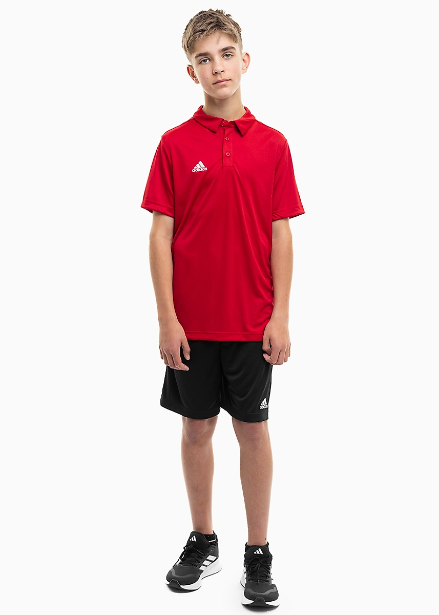 adidas Kinder Sport-Set T-shirt Kurze Hose Entrada 22 Polo H57495/H57502