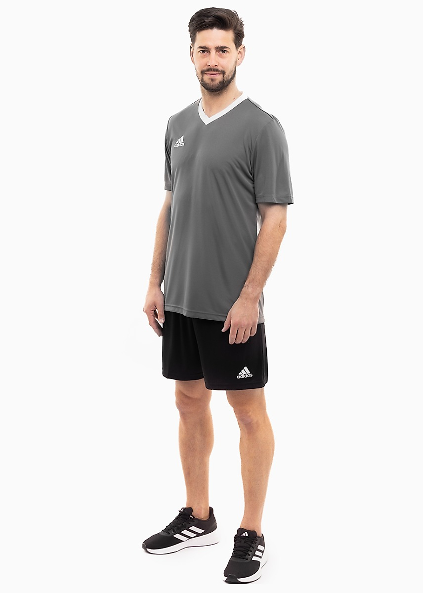 adidas Sport-Set T-shirt Kurze Hose Entrada 22 Jsy HE1574/H57504
