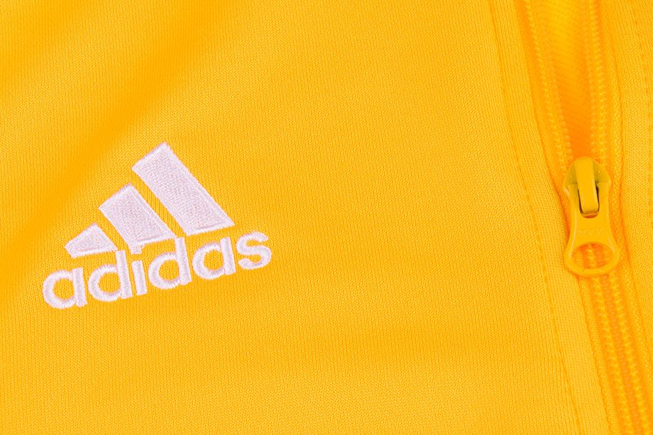 Adidas Kinder Sweatshirt Junior Regista CZ8630 Adidas Kinder Sweatshirt Junior Regista CZ8630