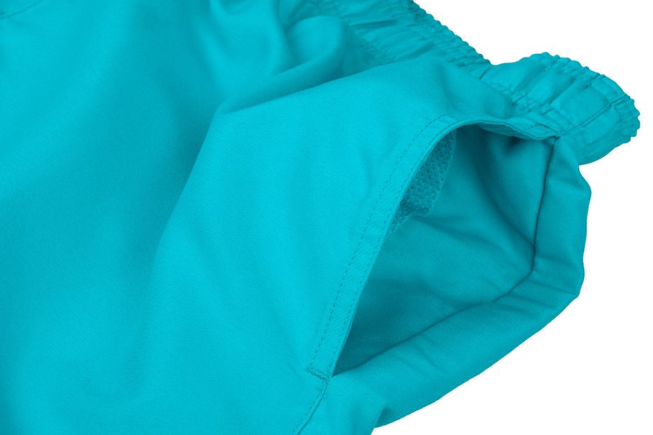 Nike Shorts Herren Volley NESSA560 376