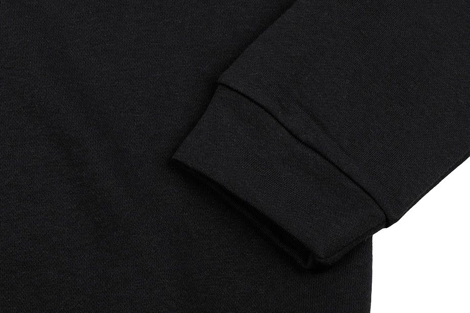 Reebok Bluse Herren Linear Logo Fleece Crew FU3116