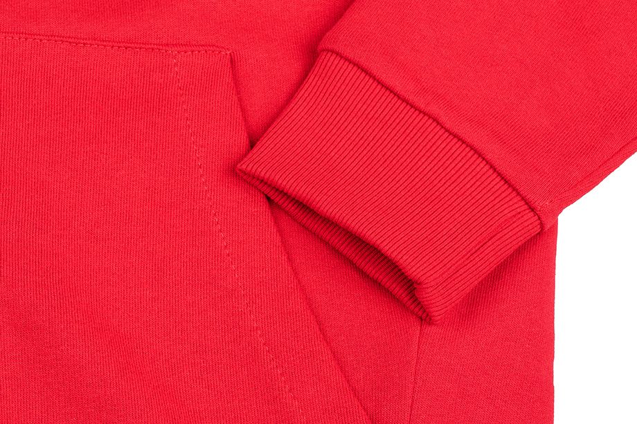 4F Herren Kapuzensweatshirt NOSH4 BLM004 62S