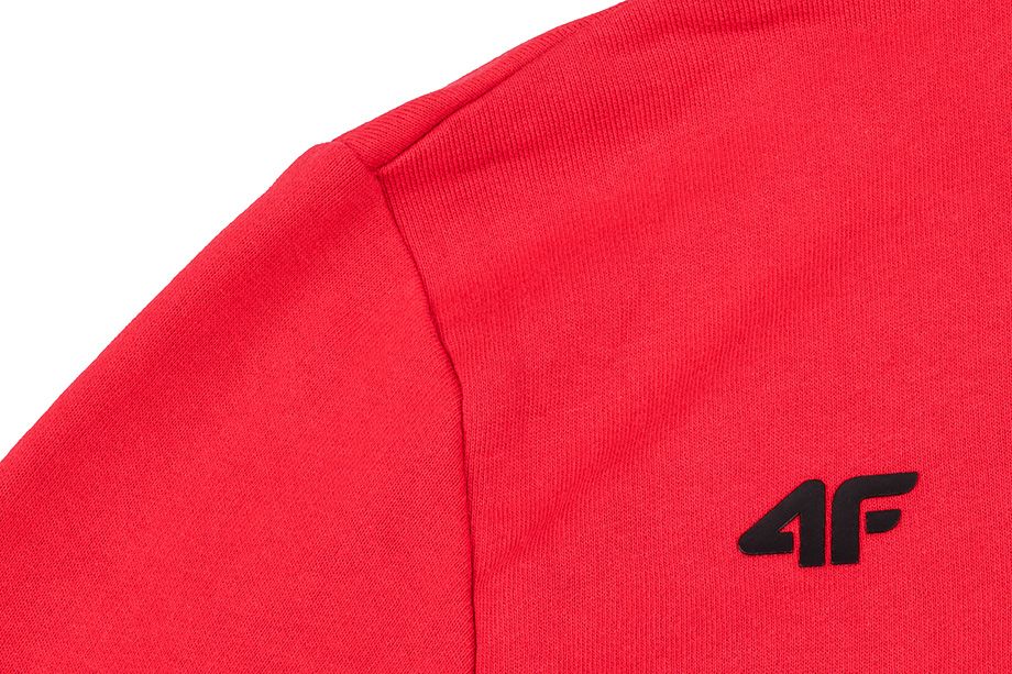 4F Herren Kapuzensweatshirt NOSH4 BLM004 62S