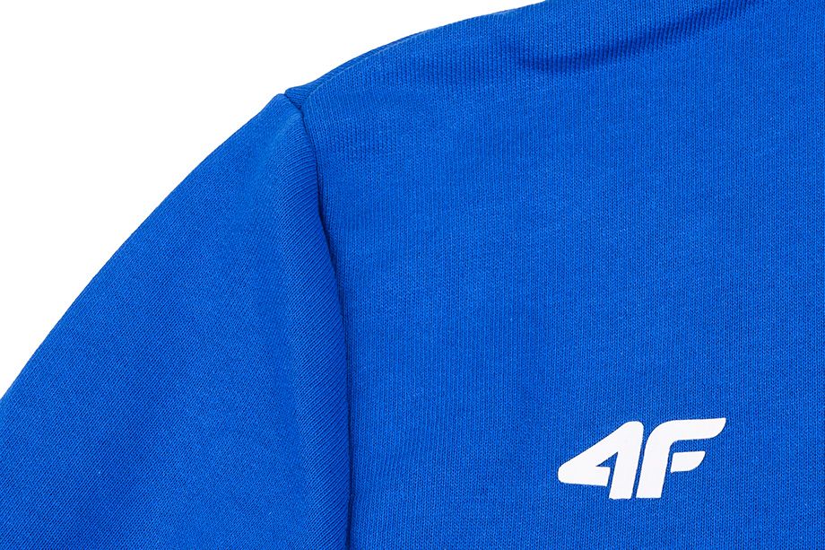 4F Herren Kapuzensweatshirt NOSH4 BLM004 36S