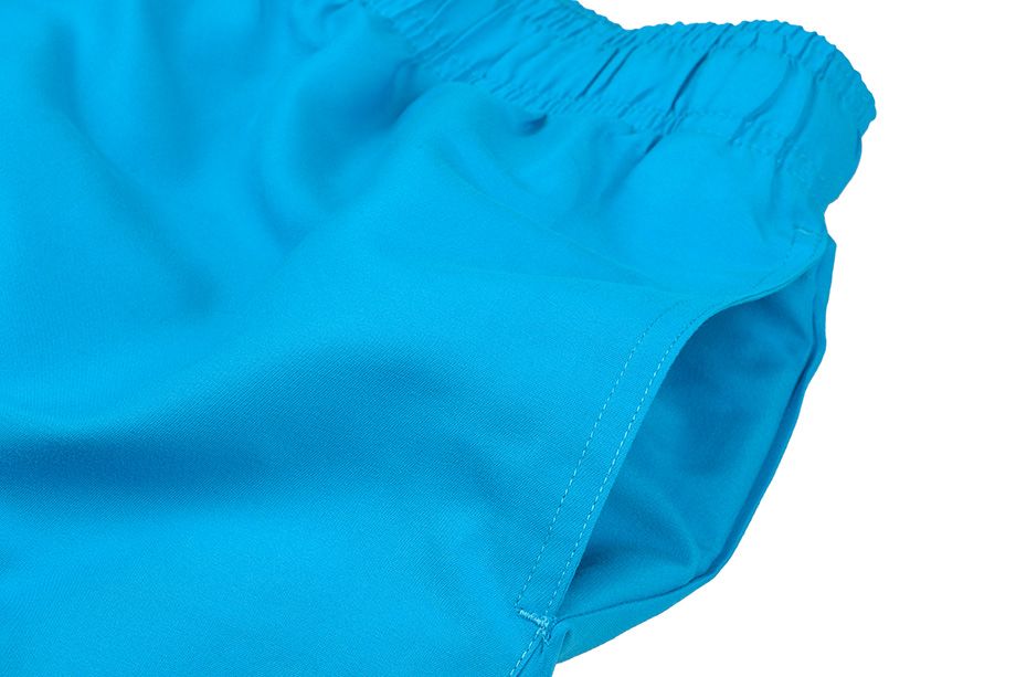 Nike Shorts Herren Volley NESSA560 406