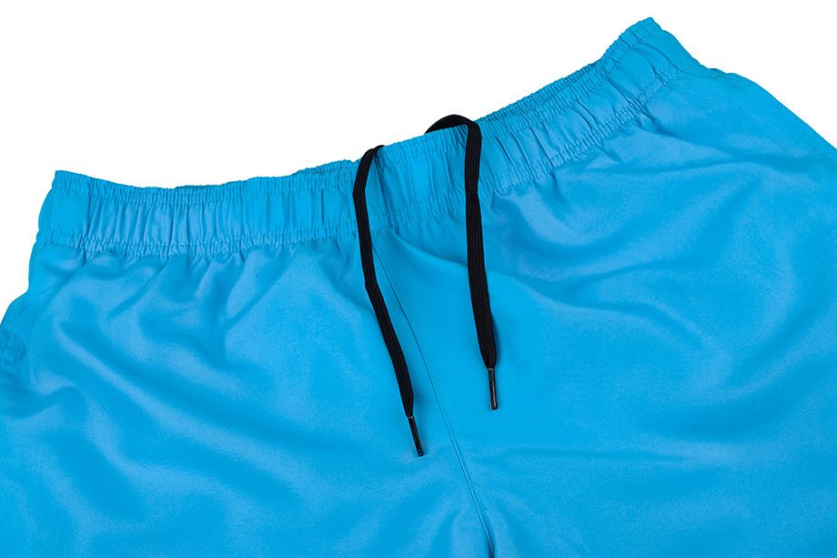 Nike Shorts Herren Volley NESSA560 406