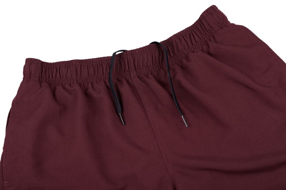 Nike Shorts Herren Volley NESSA560 606