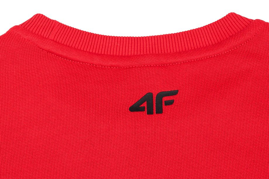 4F Herren Pullover Crew Neck NOSH4 BLM001 62S