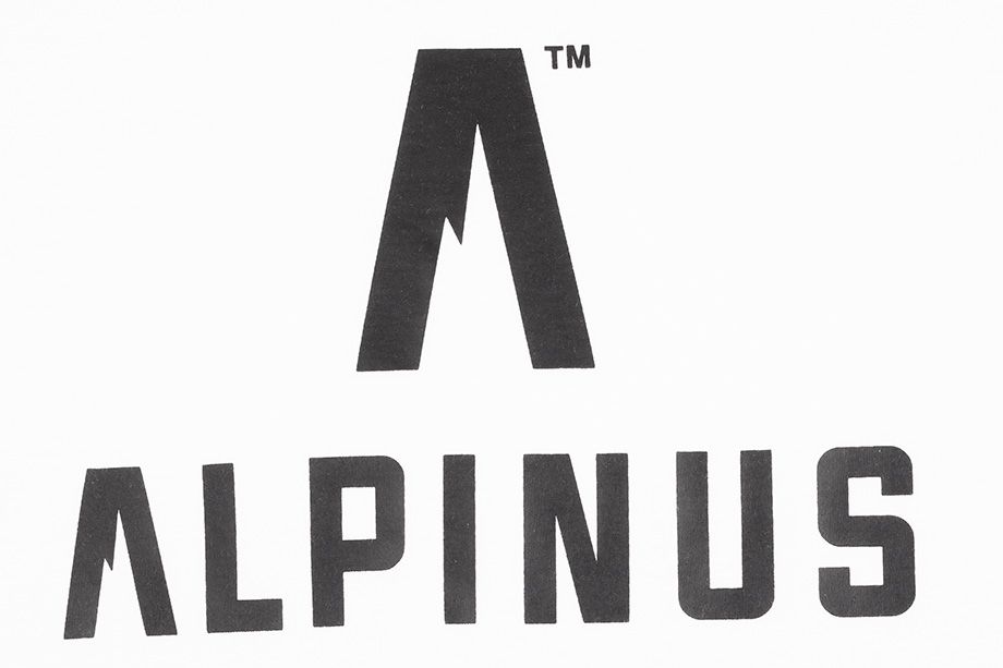 Alpinus Herren T-Shirt Classic ALP20TC0008 3