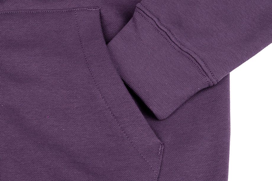 Nike Damen Kapuzenpullover Essentials Hoodie FZ FLC BV4122 574