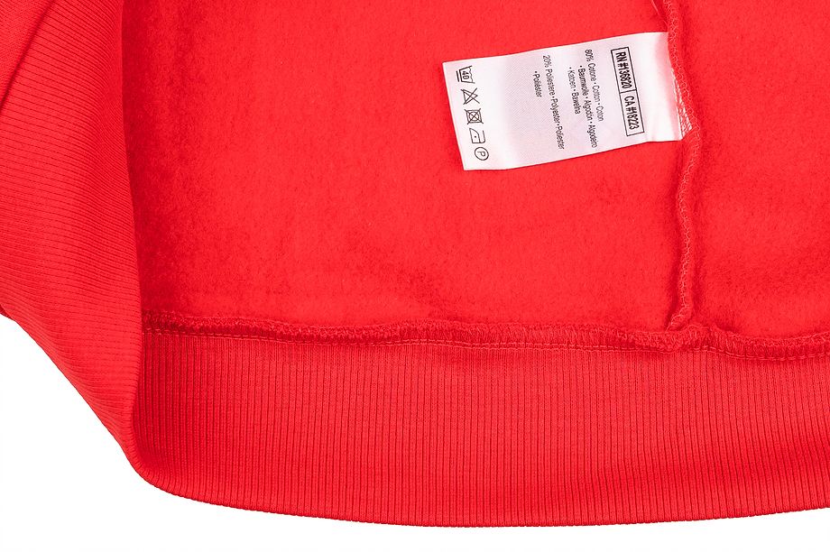 Kappa Herren Hoodie Igon 309043 18-1664