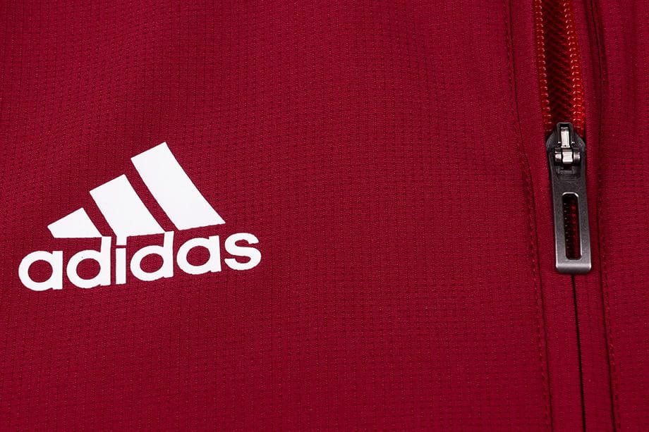 adidas Herren Windjacke Tiro 19 PRE JKT D95933