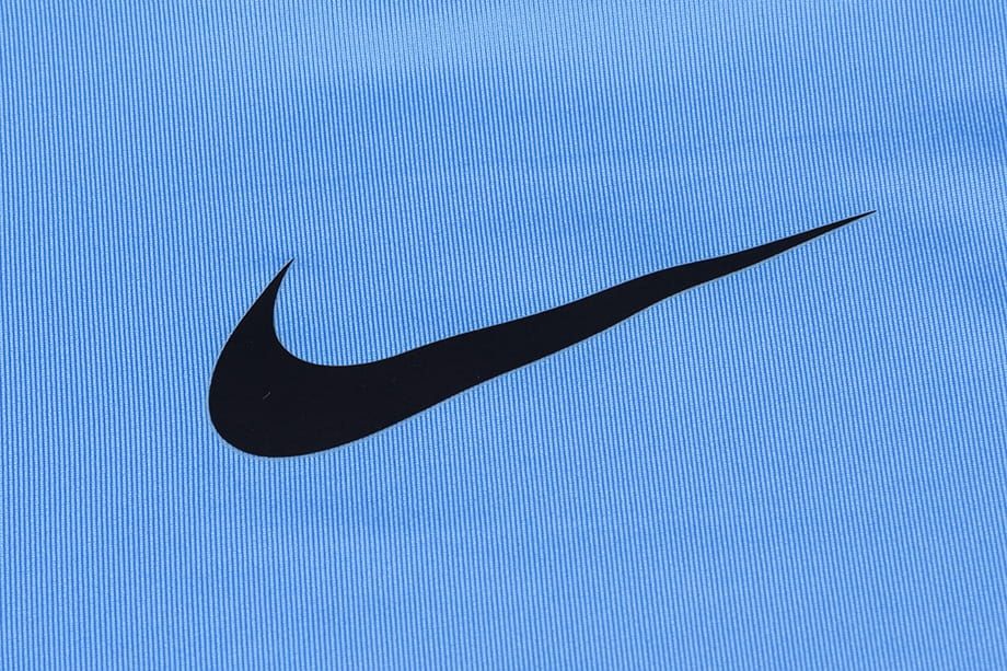 Nike Funktionsshirt Herren M NP LS COMP 838077 412