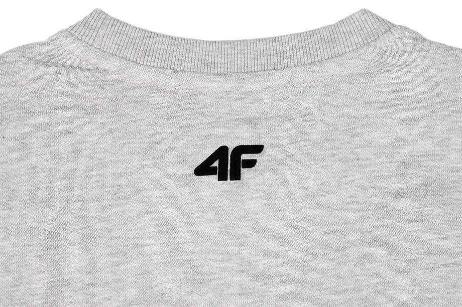 4F Herren Pullover Crew Neck NOSH4 BLM001 27M