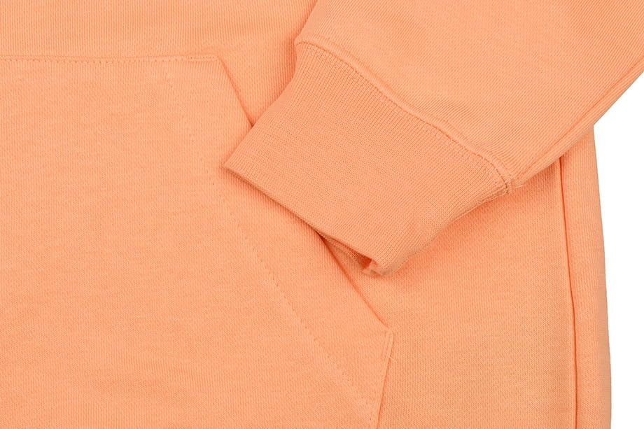 Nike Damen Hoodie Essentials Funnel Po Flc BV4116 734