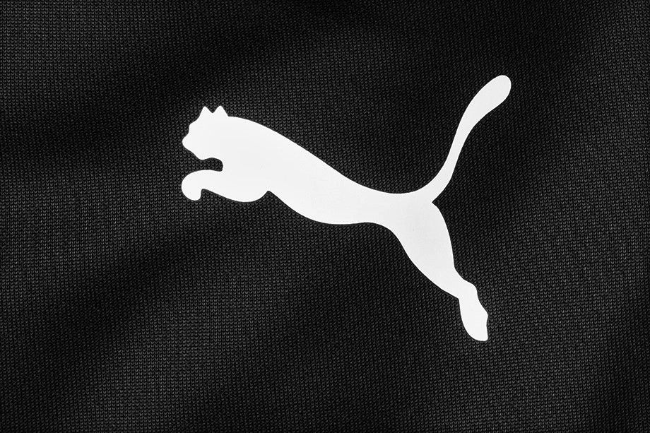 Puma TeamRISE Track Kinder Trainingsanzug 657393 03/657391 03