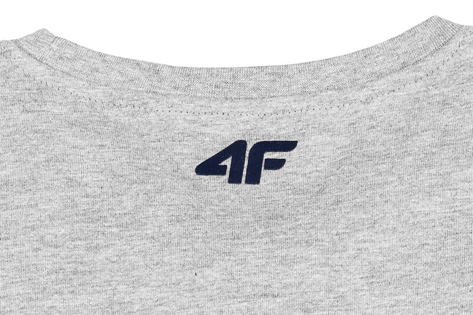 4F T-Shirt Herren H4L21 TSM015 25M