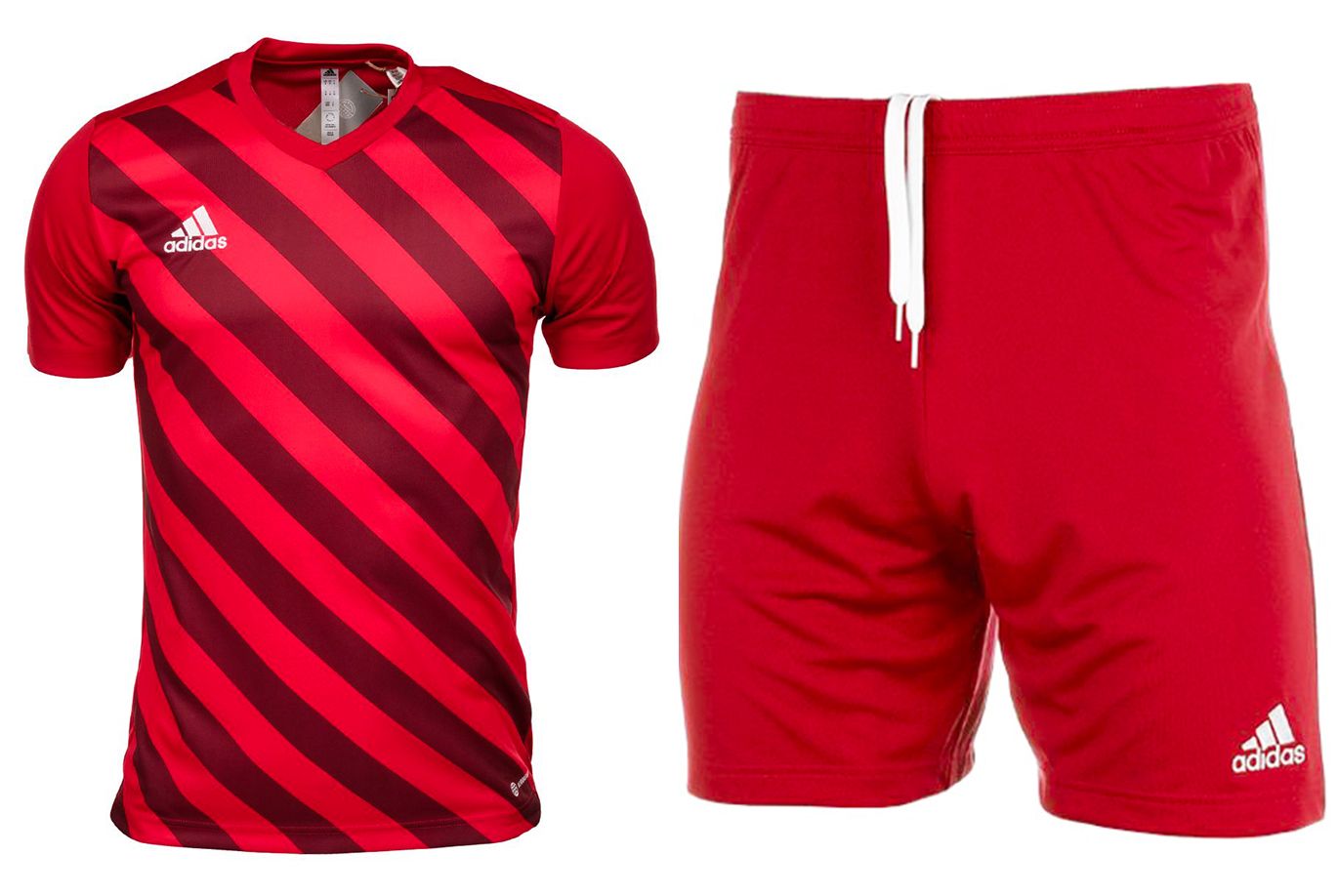 adidas Kinder Sport-Set T-shirt Kurze Hose Entrada 22 Graphic Jersey H58983/H57501