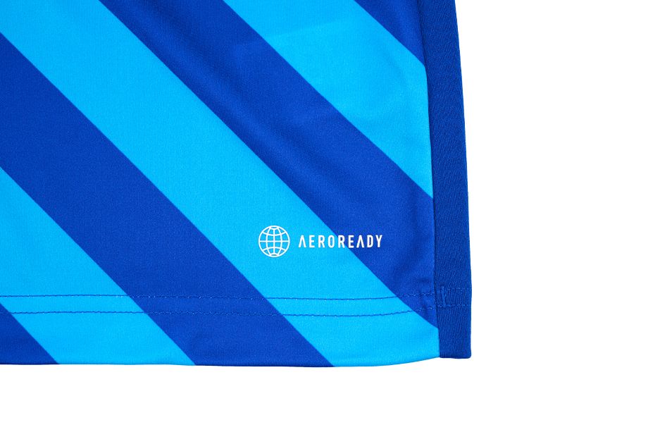 adidas Kinder Sport-Set T-shirt Kurze Hose Entrada 22 Graphic Jersey HF0130/H57502
