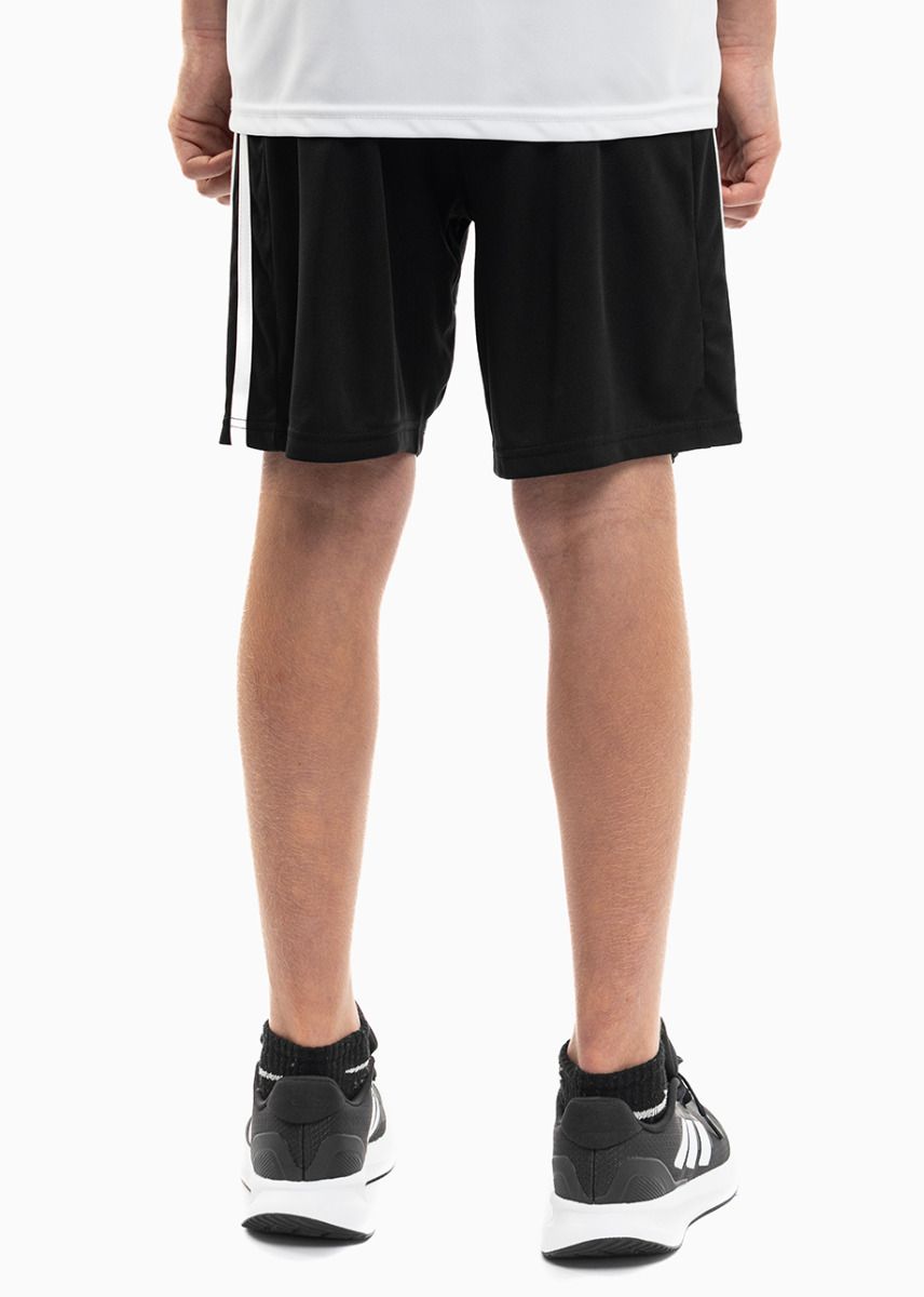 adidas Kinder Sport-Set T-shirt Kurze Hose Squadra 21 Jersey GN5738/GN5767 adidas Kinder Sport-Set T-shirt Kurze Hose Squadra 21 Jersey GN5738/GN5767