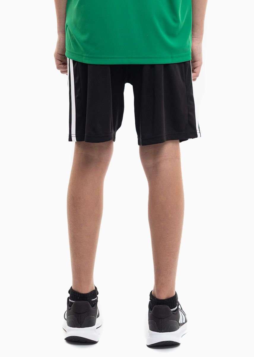 adidas Kinder Sport-Set T-shirt Kurze Hose Squadra 21 Jersey GN5743/GN5767 adidas Kinder Sport-Set T-shirt Kurze Hose Squadra 21 Jersey GN5743/GN5767