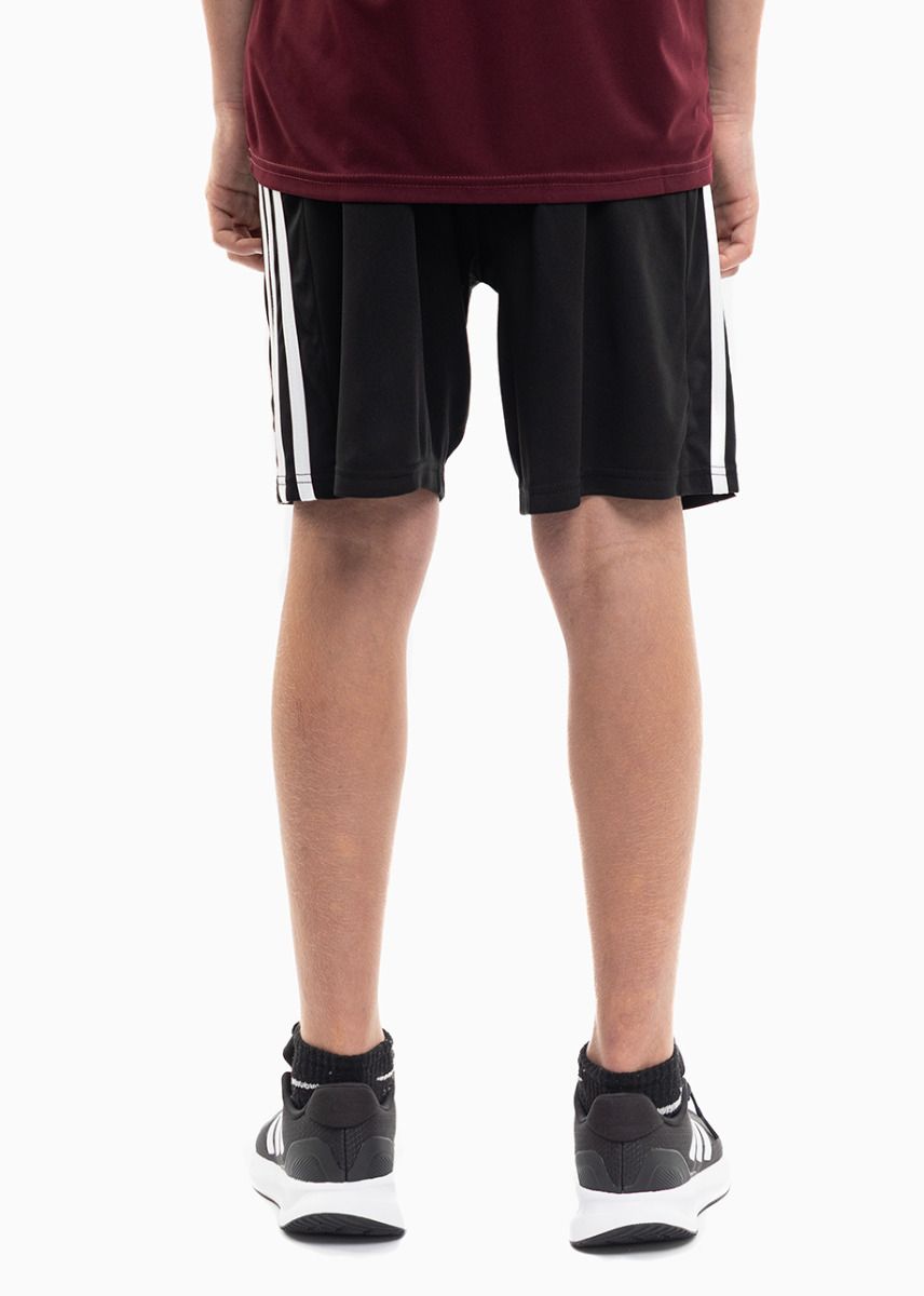 adidas Kinder Sport-Set T-shirt Kurze Hose Squadra 21 Jersey GN8090/GN5767 adidas Kinder Sport-Set T-shirt Kurze Hose Squadra 21 Jersey GN8090/GN5767