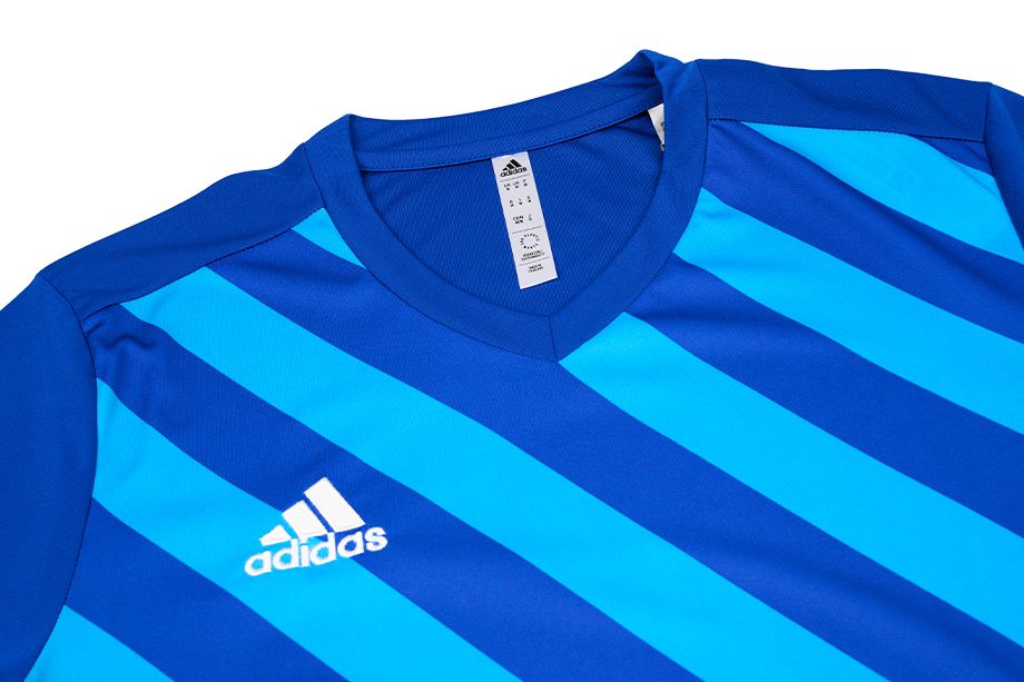adidas Sport-Set T-shirt Kurze Hose Entrada 22 Gfx Jsy HF0116/H57504