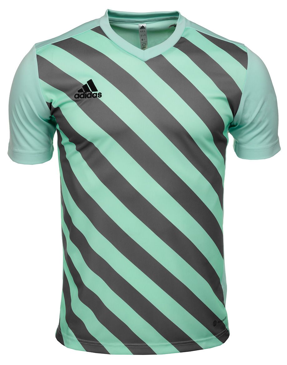 adidas Sport-Set T-shirt Kurze Hose Entrada 22 Gfx Jsy HF0119/H57504