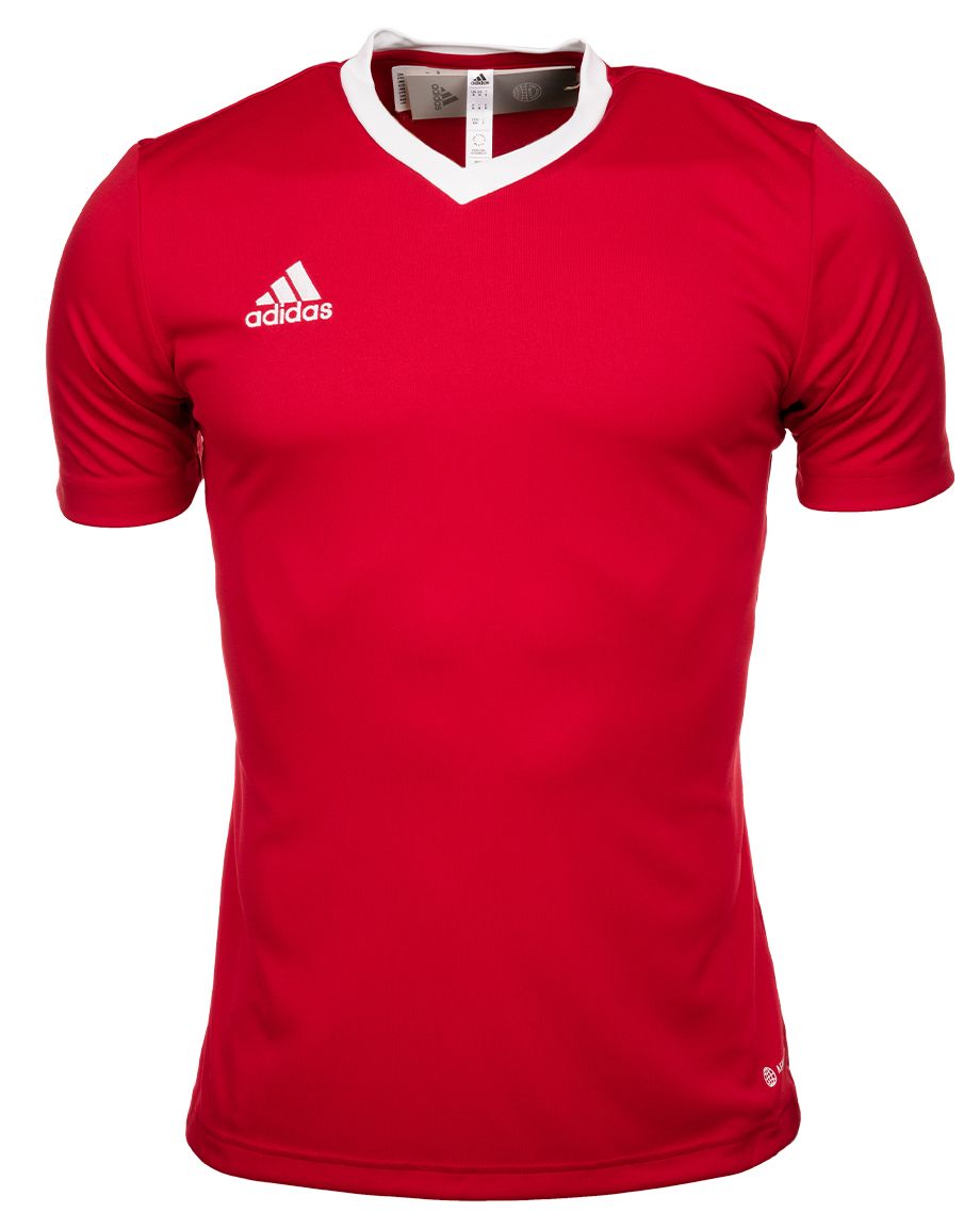 adidas Sport-Set T-shirt Kurze Hose Entrada 22 Jsy H61736/H61735