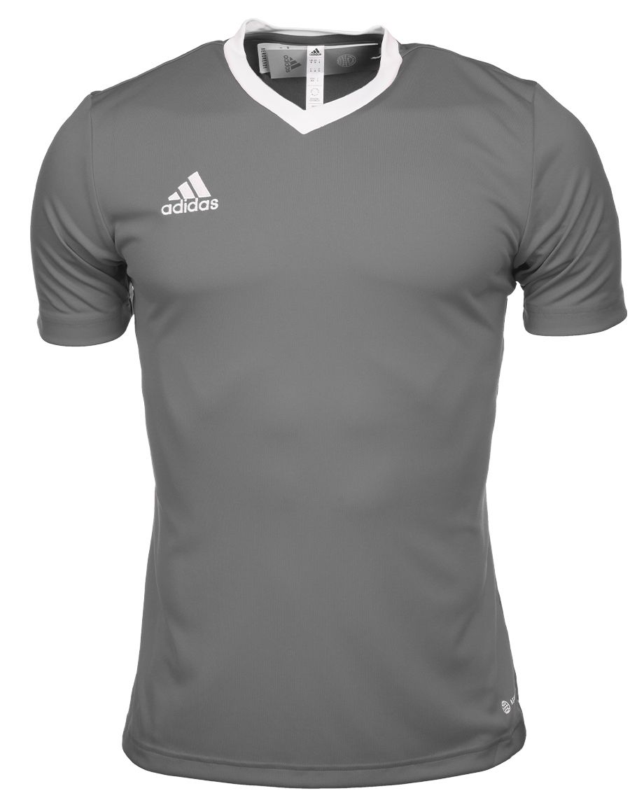 adidas Sport-Set T-shirt Kurze Hose Entrada 22 Jsy HE1574/H57504