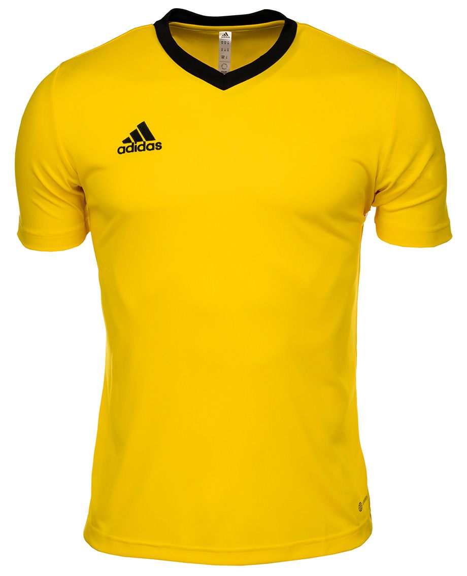 adidas Sport-Set T-shirt Kurze Hose Entrada 22 Jsy HI2122/IC7404