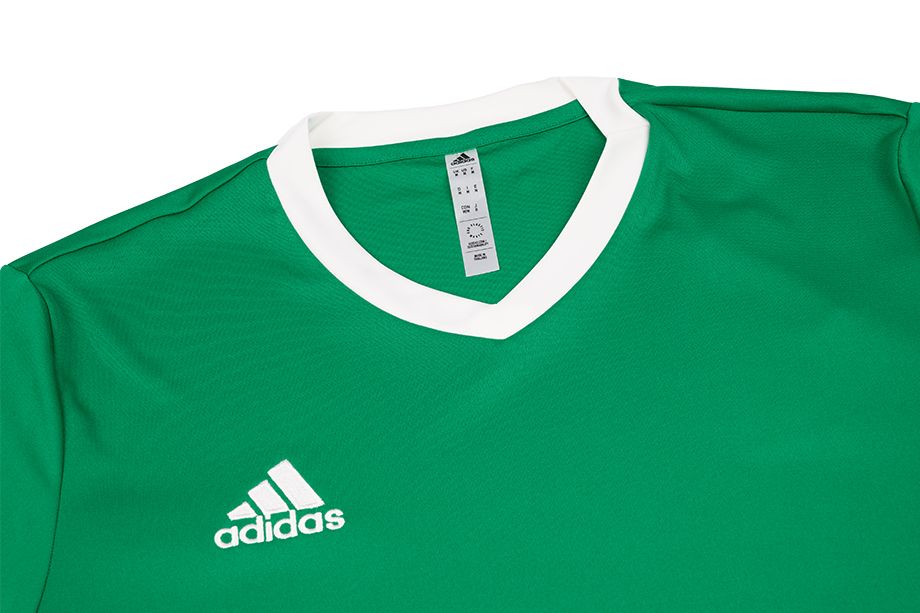 adidas Sport-Set T-shirt Kurze Hose Entrada 22 Jsy HI2123/H57504