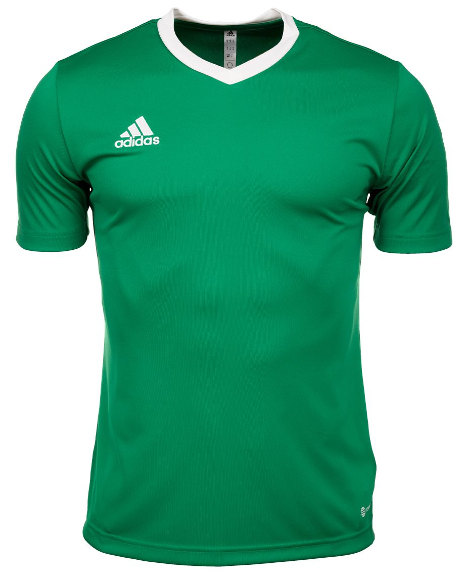 adidas Sport-Set T-shirt Kurze Hose Entrada 22 Jsy HI2123/IC7405
