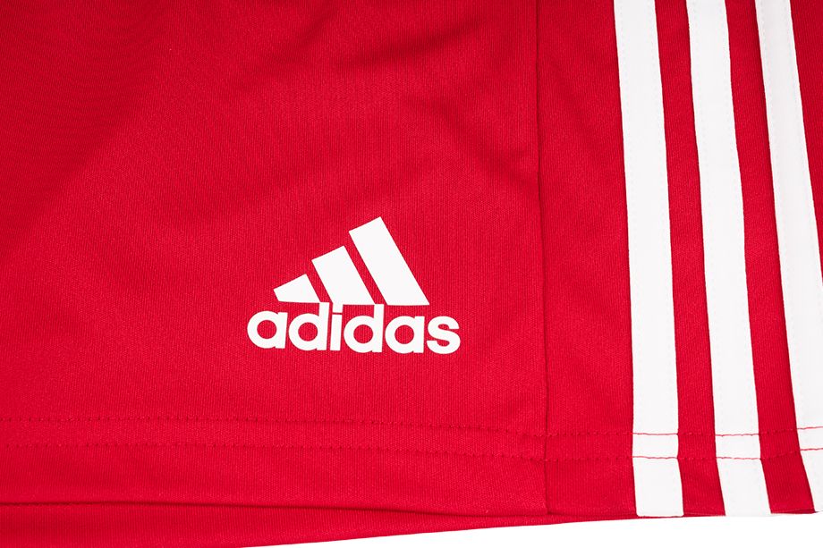 adidas Sport-Set T-shirt Kurze Hose Squadra 21 Polo GP6429/GN5771