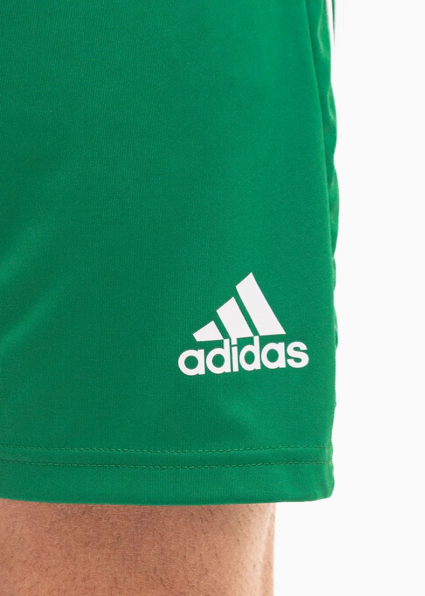 adidas Sport-Set T-shirt Kurze Hose Squadra 21 Polo GP6430/GN5769