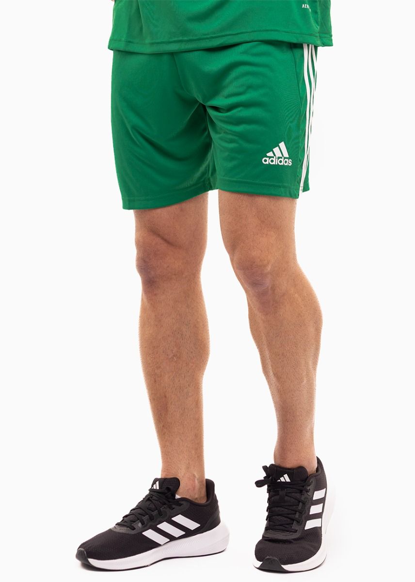 adidas Sport-Set T-shirt Kurze Hose Squadra 21 Polo GP6430/GN5769