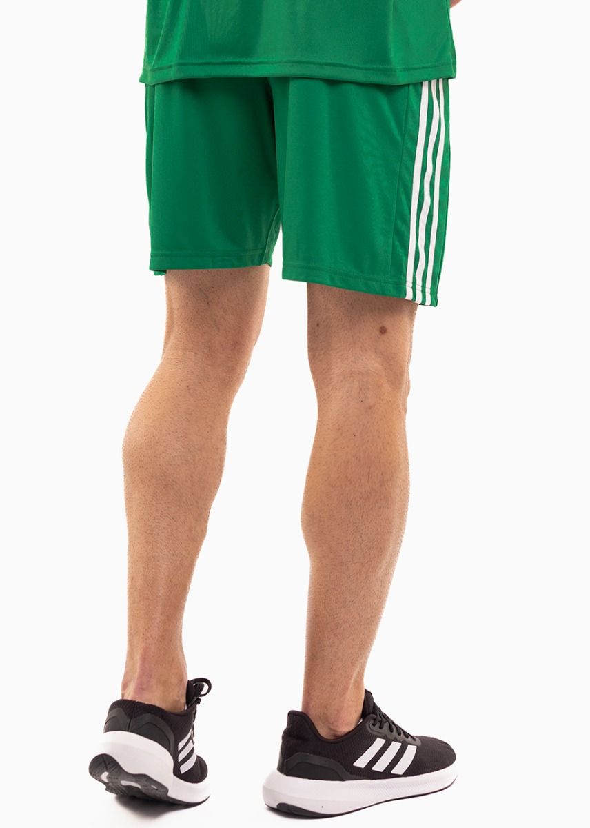 adidas Sport-Set T-shirt Kurze Hose Squadra 21 Polo GP6430/GN5769