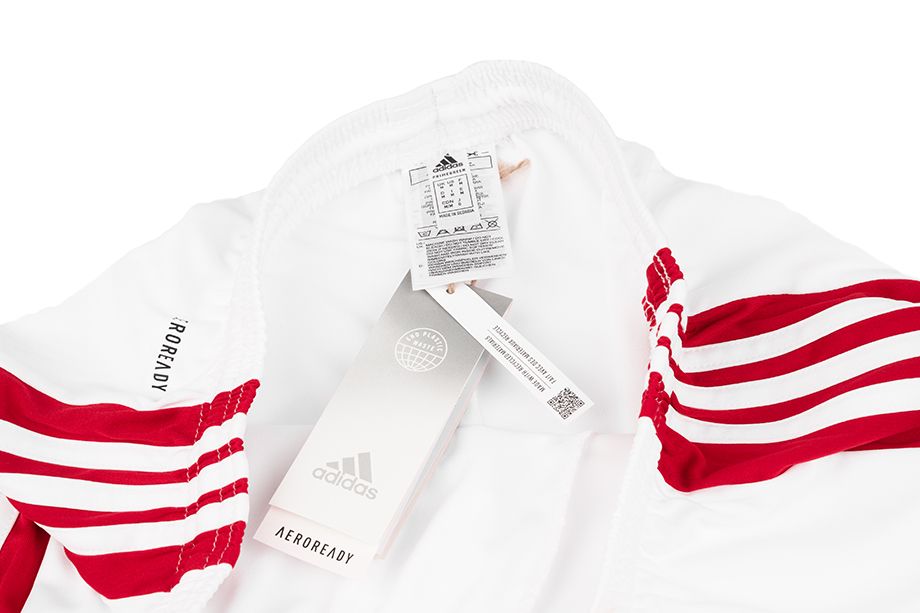 adidas Sport-Set T-shirt Kurze Hose Squadra 21 Jersey Short Sleeve GN5722/GN5770