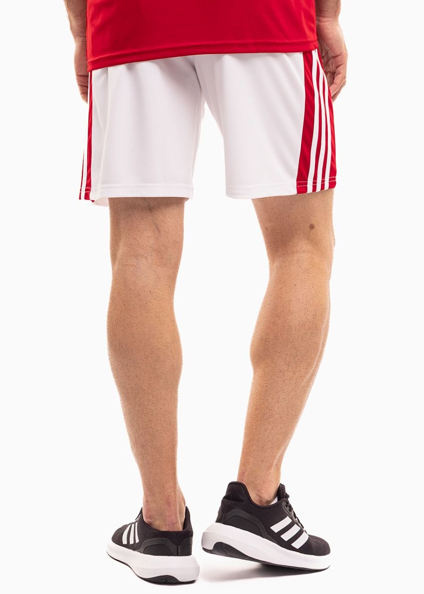 adidas Sport-Set T-shirt Kurze Hose Squadra 21 Jersey Short Sleeve GN5722/GN5770 adidas Sport-Set T-shirt Kurze Hose Squadra 21 Jersey Short Sleeve GN5722/GN5770