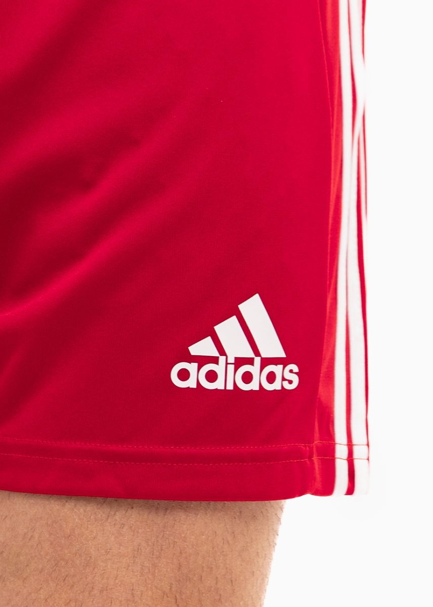 adidas Sport-Set T-shirt Kurze Hose Squadra 21 Jersey Short Sleeve GN5722/GN5771 adidas Sport-Set T-shirt Kurze Hose Squadra 21 Jersey Short Sleeve GN5722/GN5771