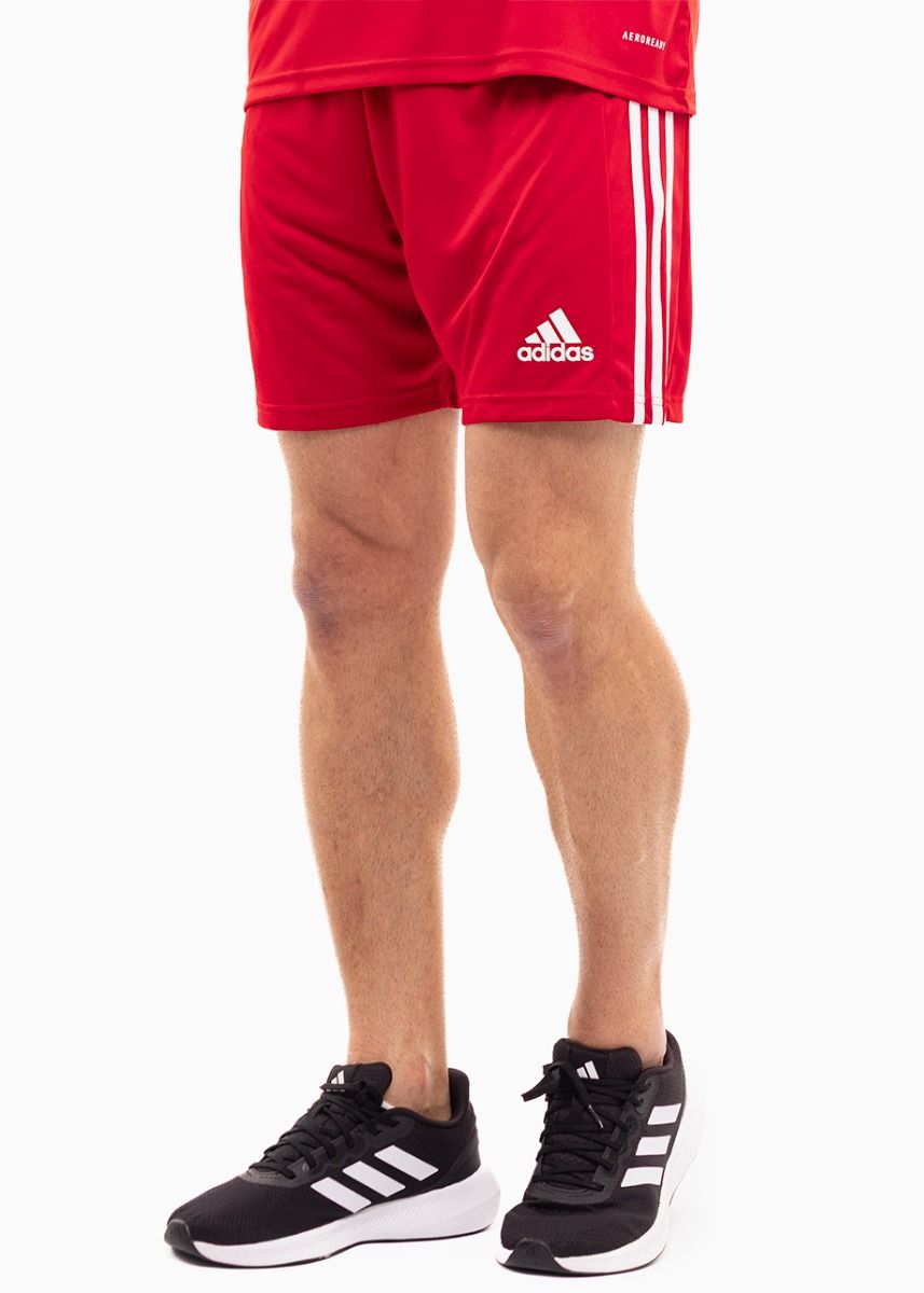 adidas Sport-Set T-shirt Kurze Hose Squadra 21 Jersey Short Sleeve GN5722/GN5771 adidas Sport-Set T-shirt Kurze Hose Squadra 21 Jersey Short Sleeve GN5722/GN5771