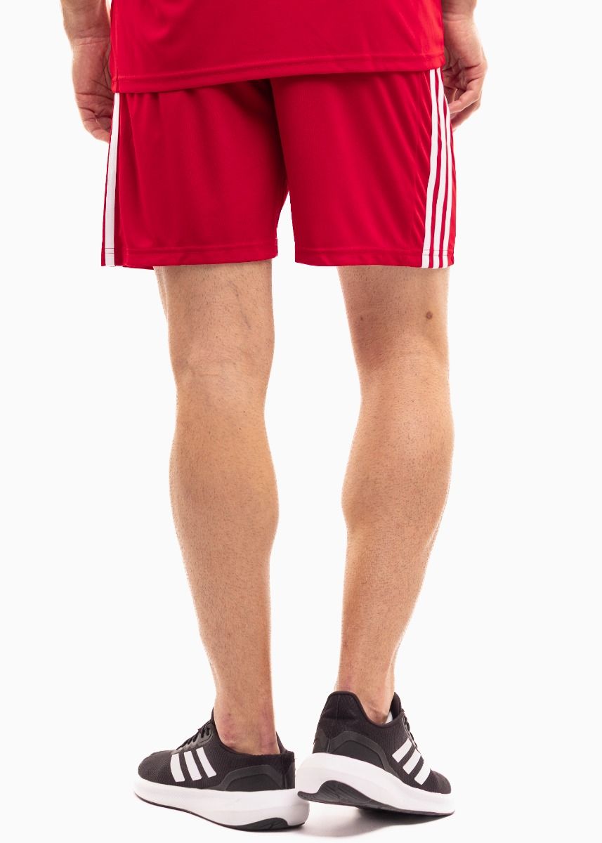 adidas Sport-Set T-shirt Kurze Hose Squadra 21 Jersey Short Sleeve GN5722/GN5771 adidas Sport-Set T-shirt Kurze Hose Squadra 21 Jersey Short Sleeve GN5722/GN5771
