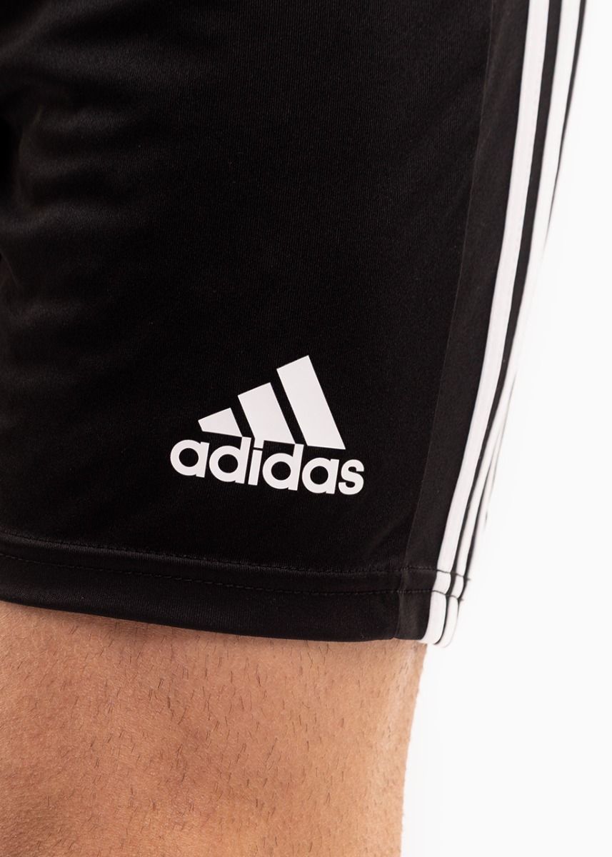 adidas Sport-Set T-shirt Kurze Hose Squadra 21 Jersey Short Sleeve GN5722/GN5776