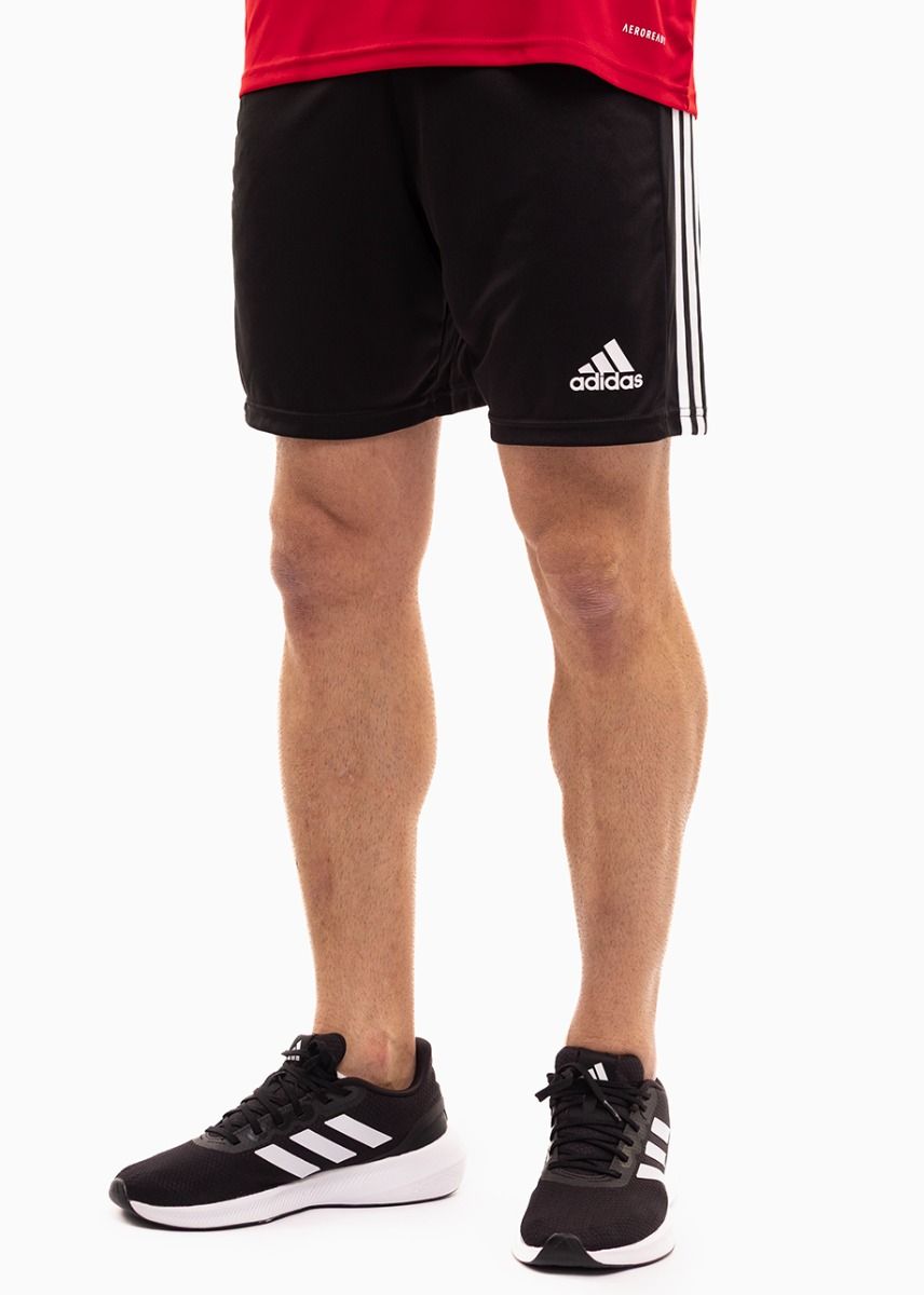 adidas Sport-Set T-shirt Kurze Hose Squadra 21 Jersey Short Sleeve GN5722/GN5776
