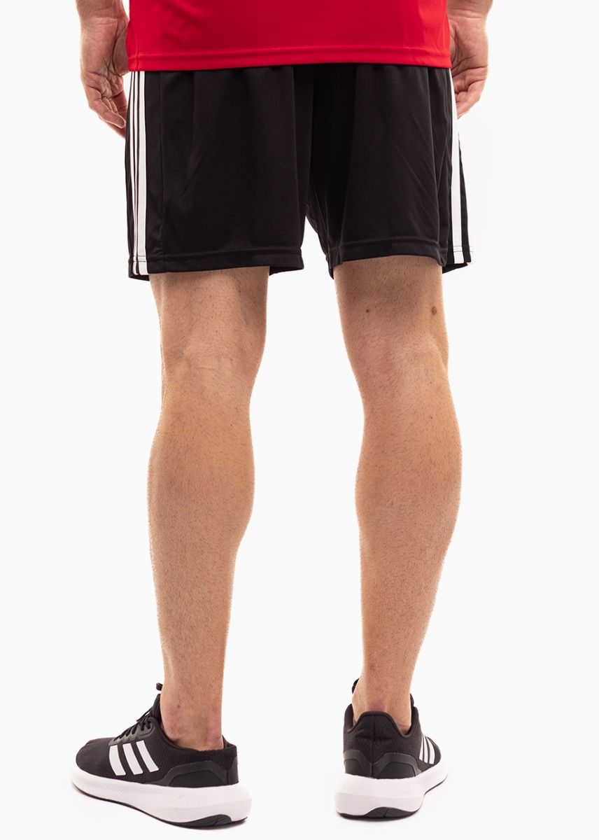 adidas Sport-Set T-shirt Kurze Hose Squadra 21 Jersey Short Sleeve GN5722/GN5776