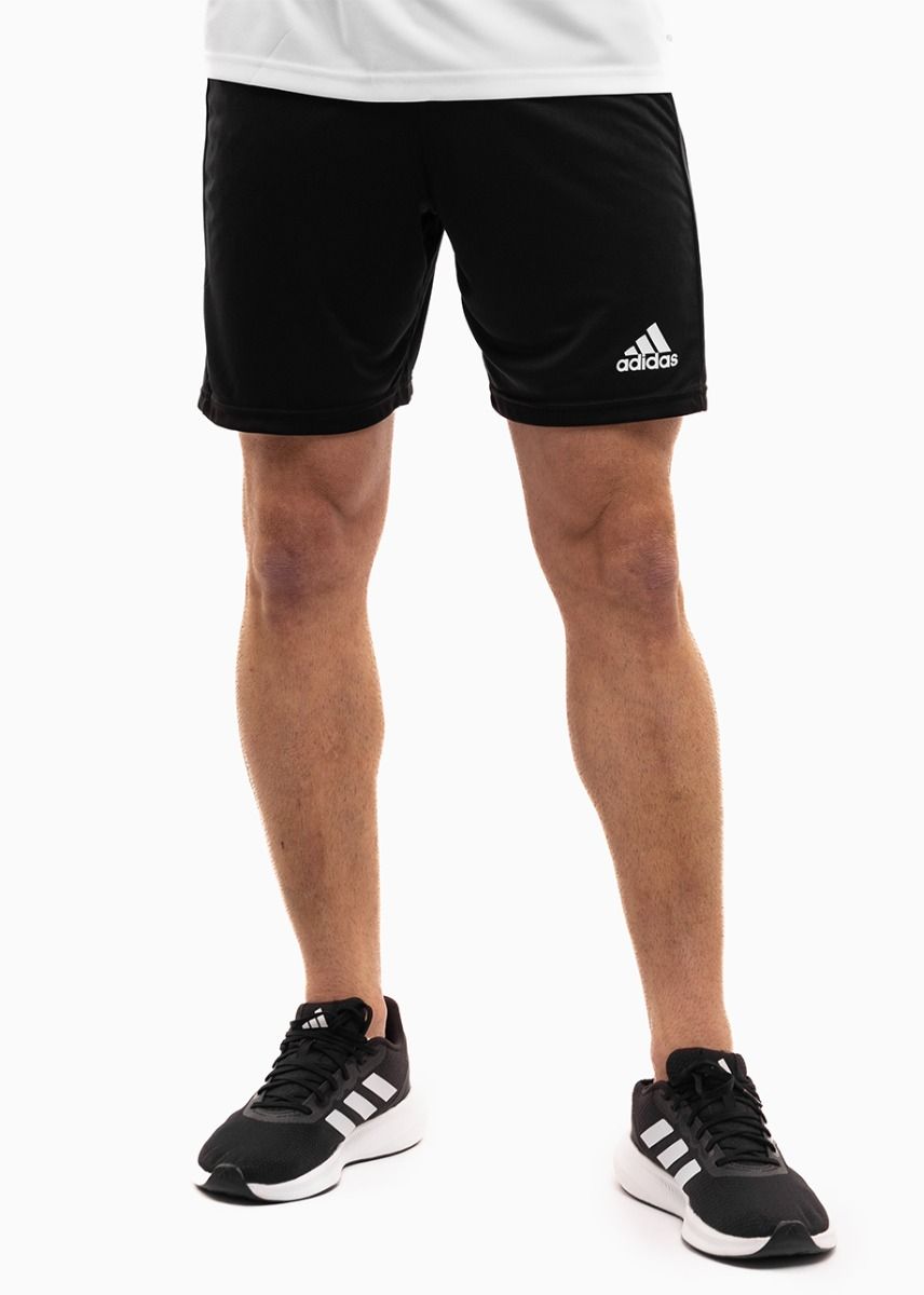 adidas Sport-Set T-shirt Kurze Hose Squadra 21 Jersey Short Sleeve GN5726/GN5776 adidas Sport-Set T-shirt Kurze Hose Squadra 21 Jersey Short Sleeve GN5726/GN5776